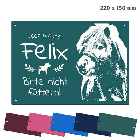 Tür- und Boxenschild "22x15"